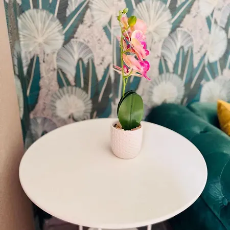 Loft Bis Cosy Proche Des Plages Et 公寓